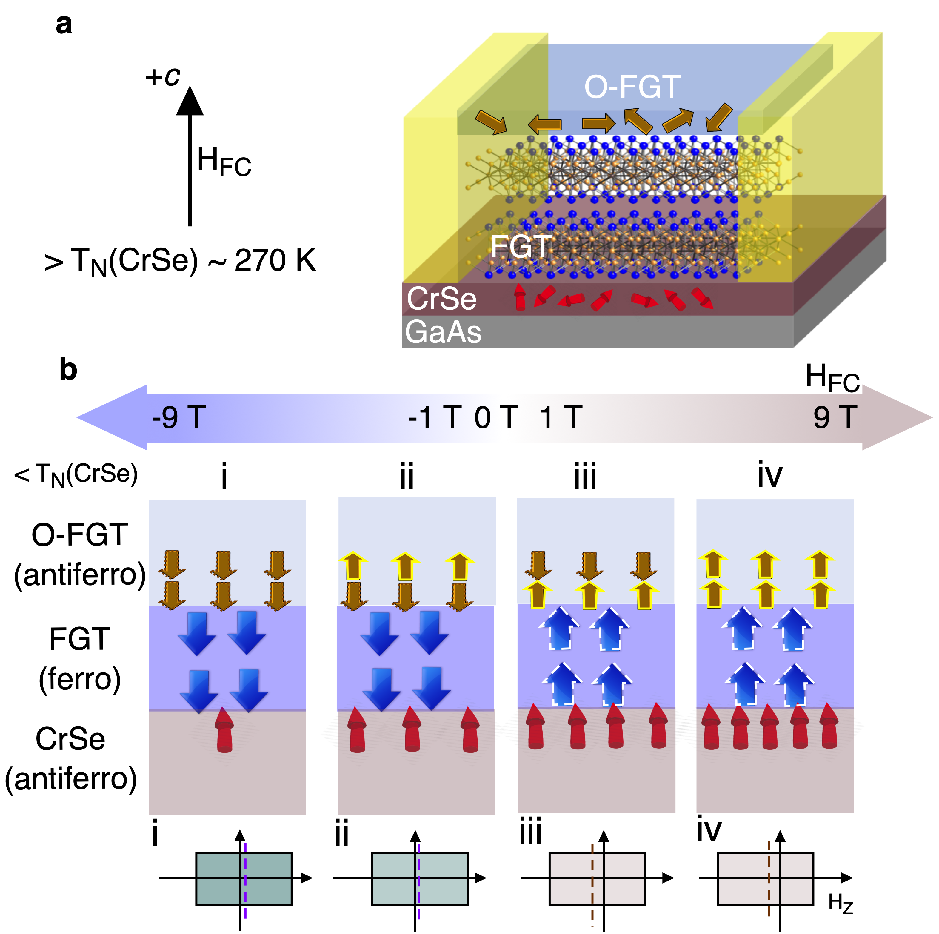 Manipulating exchange bias in a van der Waals ferromagnet